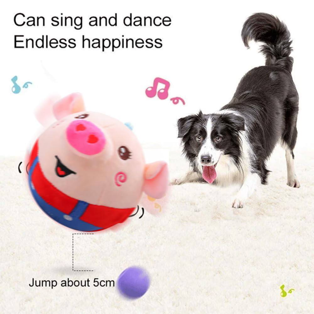 Dancing Piggy Ball