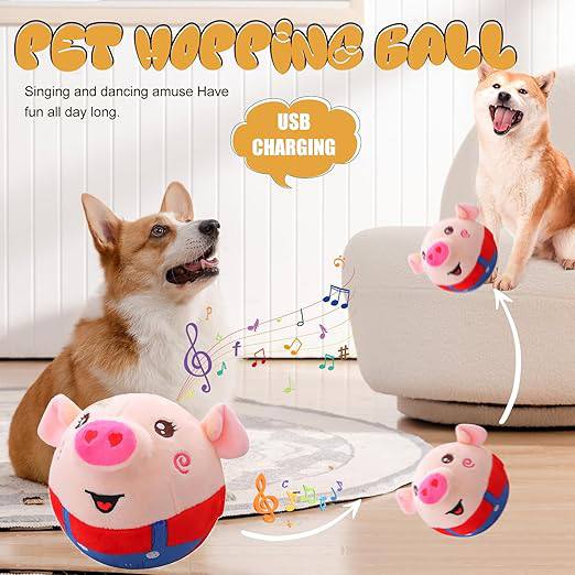 Dancing Piggy Ball